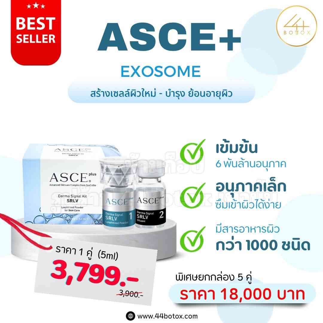 ASCE Plus