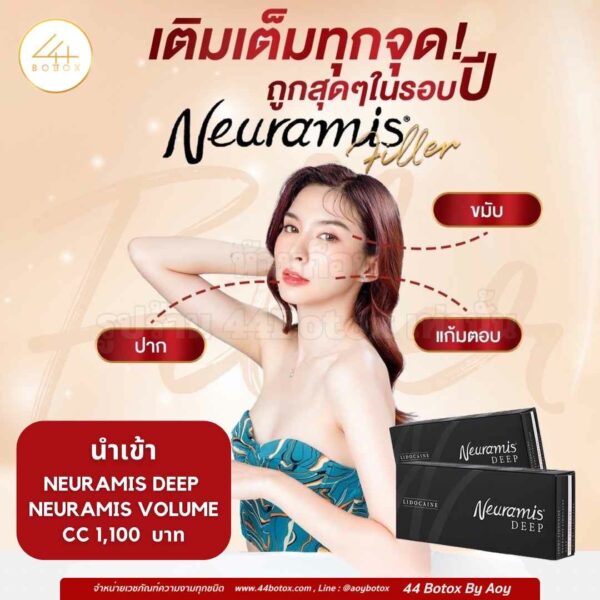 Neuramis กล่องดำ