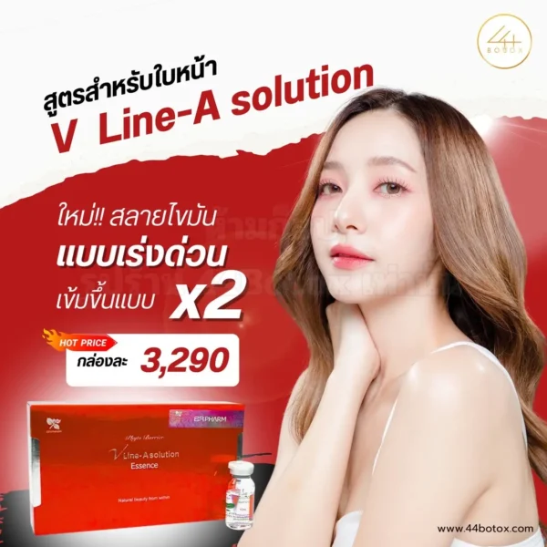 เมโสแฟต V line